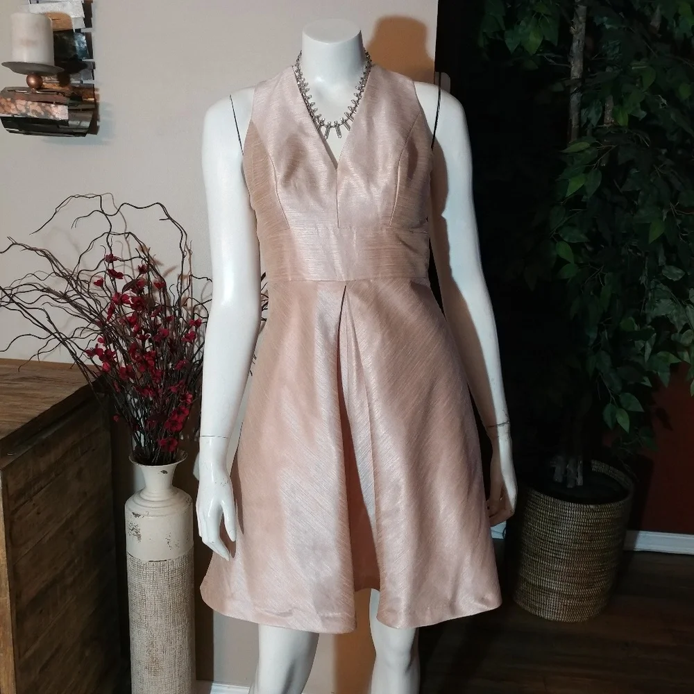 Alfred Sung Pearl Pink Cocktail Dress - Picture 2 of 13